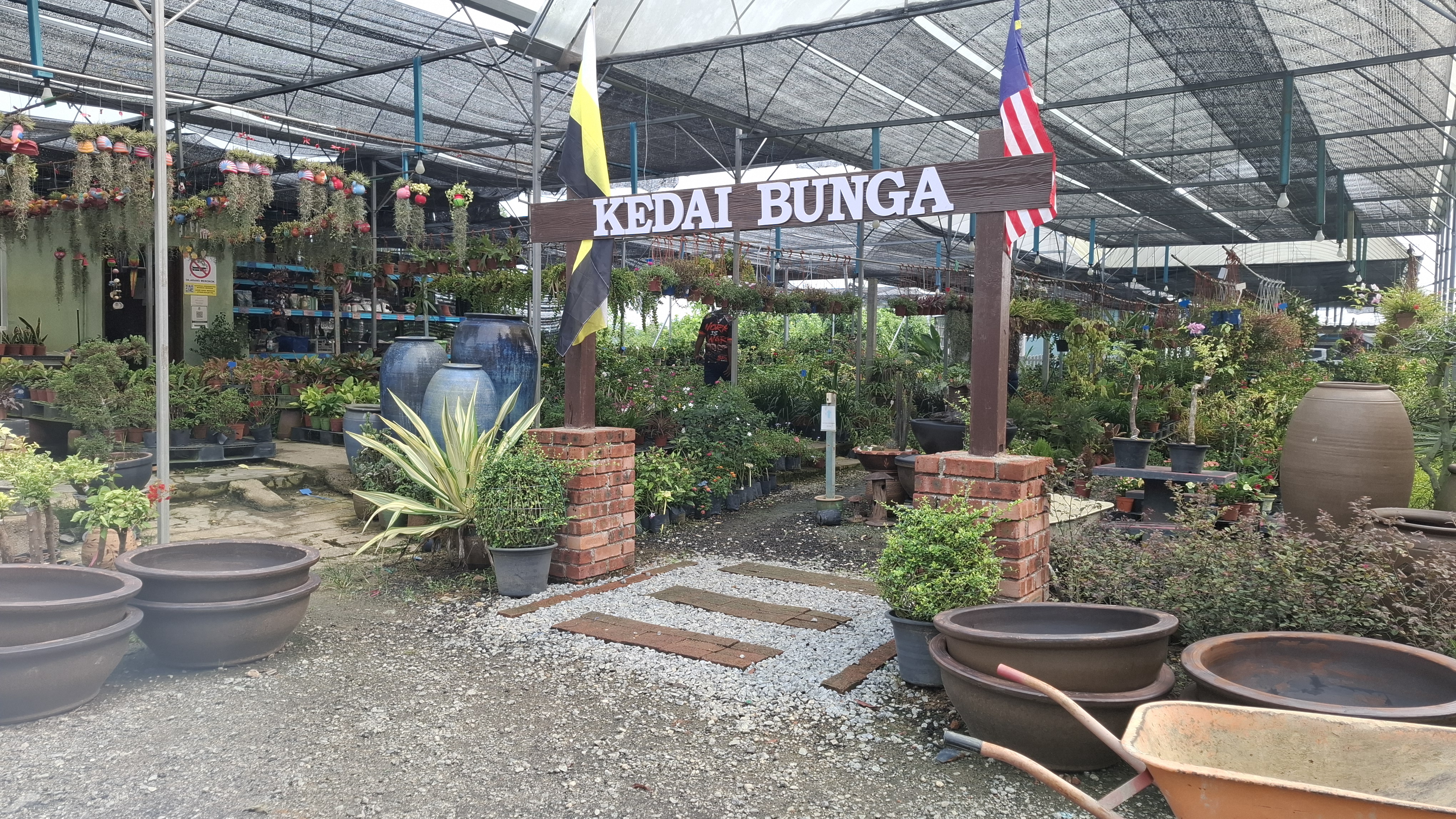 Koleksi pokok Salsha Nursery