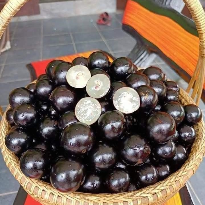 Anggur Brazil