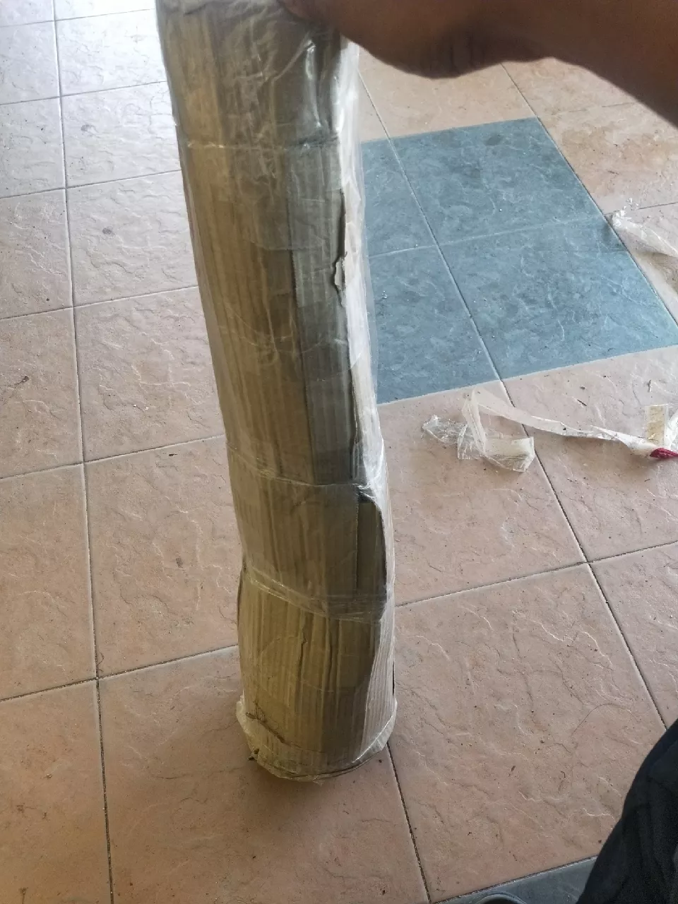 Review Pokok Durian Mdur88 13