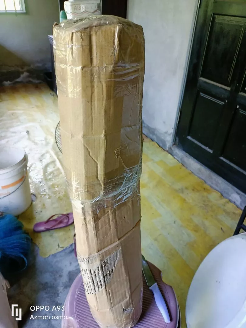 Review Pokok Durian Mdur88 2