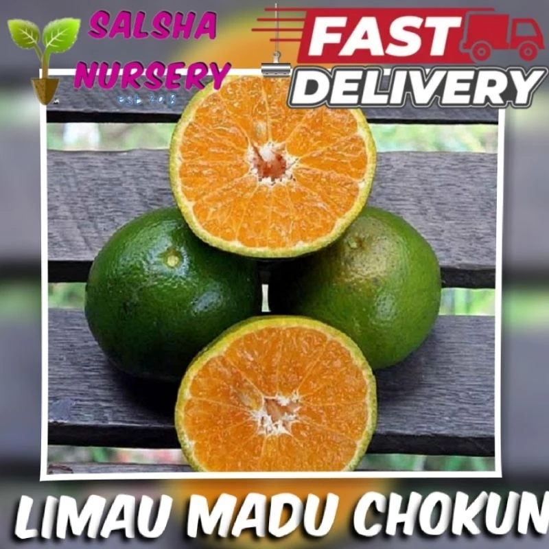 Limau Madu
